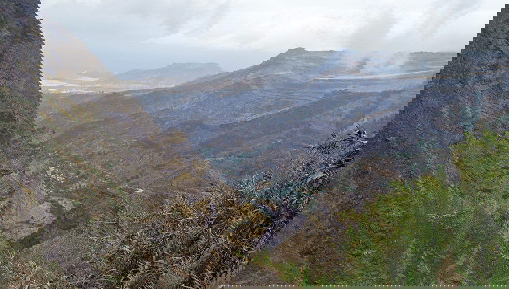 Excursión al Valle de Agaete - Foto 1