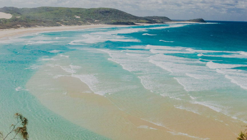 Dolphin View Kayak Tour - Foto 1