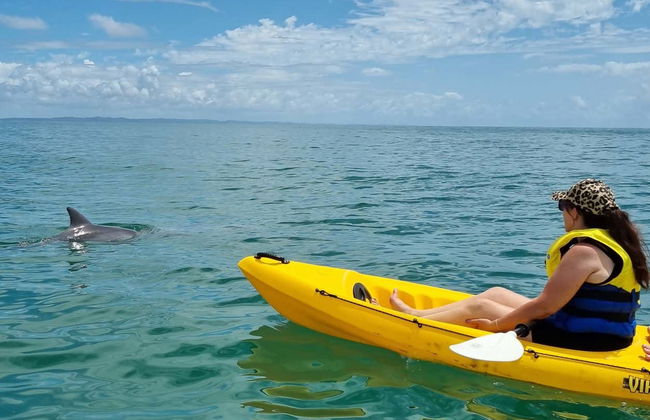 Tour de caiaque pelo Parque Nacional Great Sandy - Foto 10