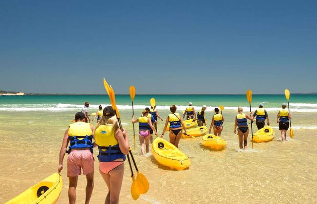Dolphin View Kayak Tour - Photo 4