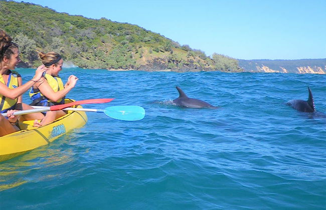 Tour de caiaque pelo Parque Nacional Great Sandy - Foto 8