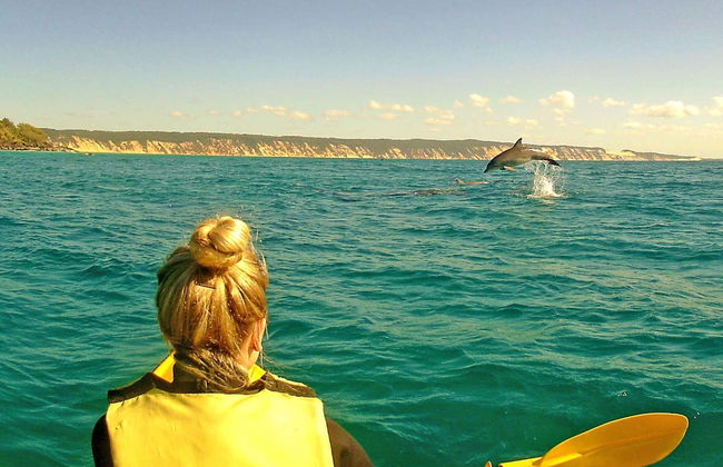 Dolphin View Kayak Tour - Photo 3