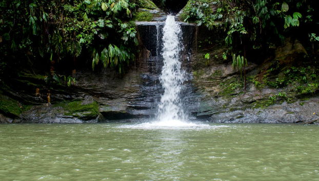 Excursión a la Catarata de Carpishuyacu - Foto 4