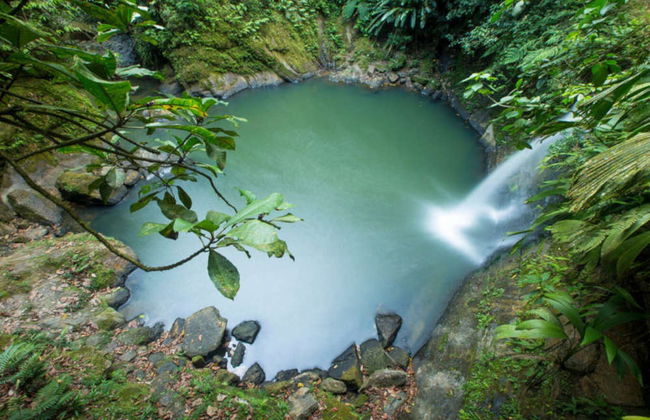 Excursão à catarata de Carpishuyacu - Foto 1