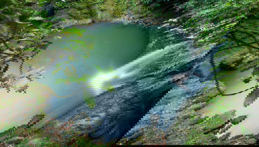 Excursión a la Catarata de Carpishuyacu - Foto 1