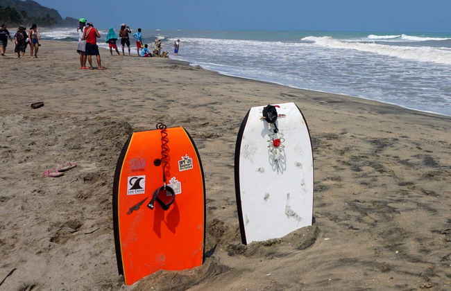 Escursione a Palomino - Foto 1