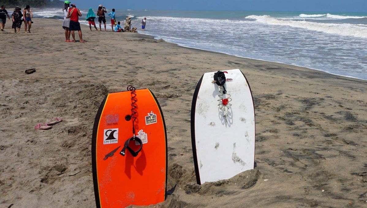 Excursión a Palomino - Foto 1