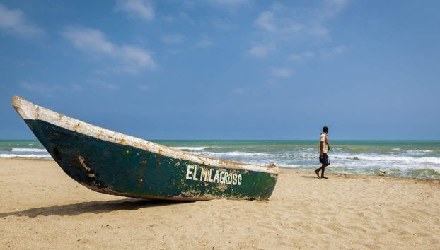 Excursión a Palomino - Foto 3