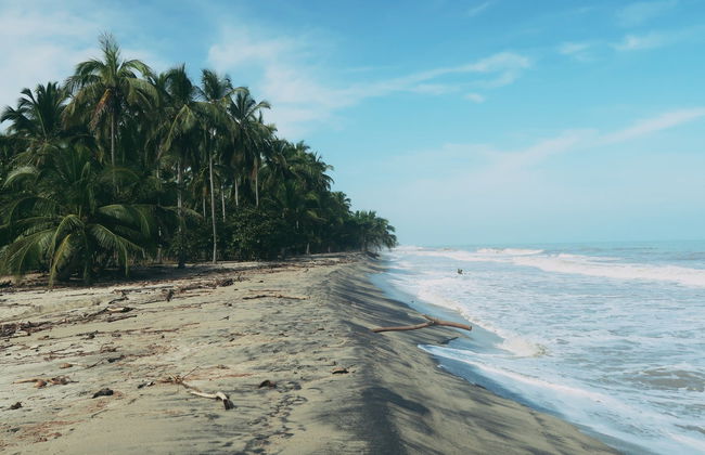 Escursione a Palomino - Foto 7