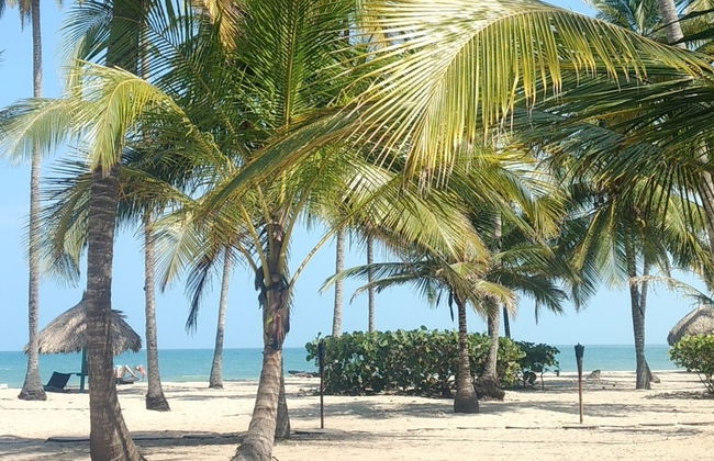 Excursión a Palomino - Foto 2