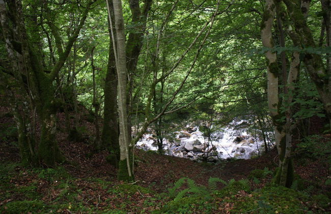 Canyoning à Keltneyburn - Photo 3