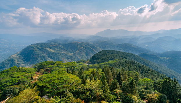 Private Ambuluwawa Tower and Ramboda Waterfall Trip - Foto 2