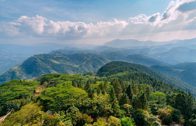 Private Ambuluwawa Tower and Ramboda Waterfall Trip - Foto 2