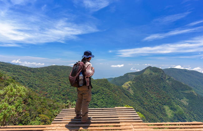 Private Horton Plains and Tea Estate Day Trip - Foto 2