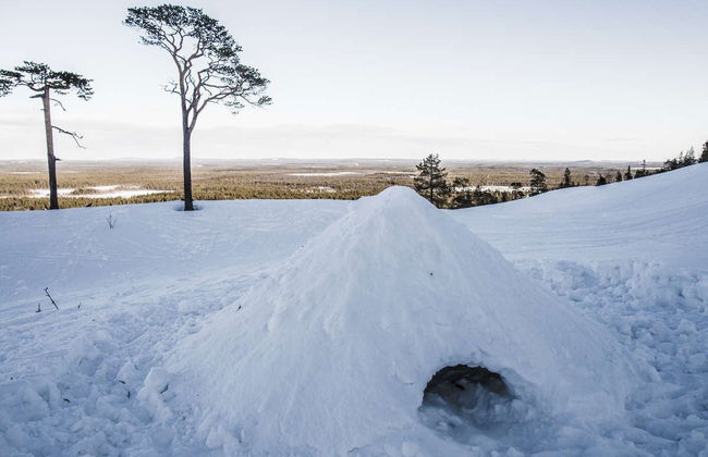Curso de sobrevivência no Parque Nacional Pyhä-Luosto - Foto 7