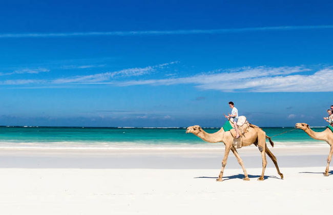 Paseo en camello por la laguna de Djerba - Foto 6