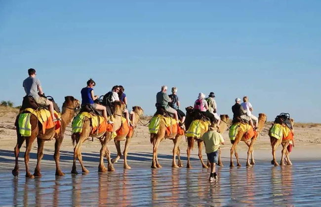 Paseo en camello por la laguna de Djerba - Foto 2
