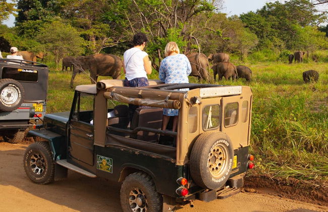 Hurulu Eco Park Private Safari - Foto 2