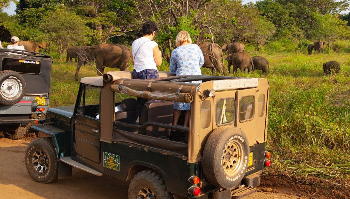 Hurulu Eco Park Private Safari - Foto 1