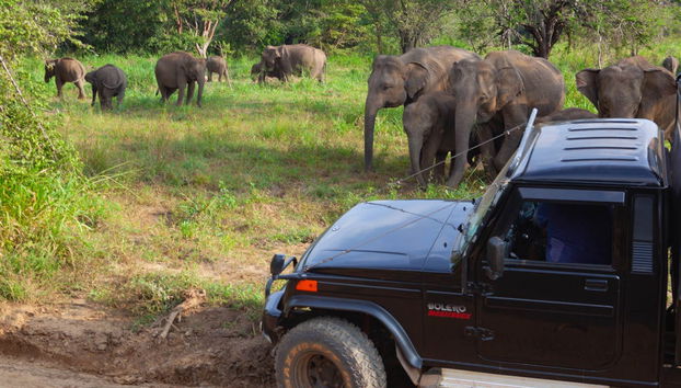 Hurulu Eco Park Private Safari - Foto 3