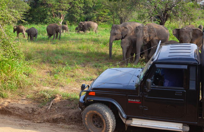 Hurulu Eco Park Private Safari - Foto 3