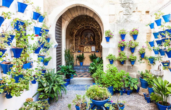 Cordoba Day Trip - Photo 4