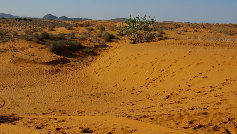 Tifnit Dunes Sandboarding - Photo 2