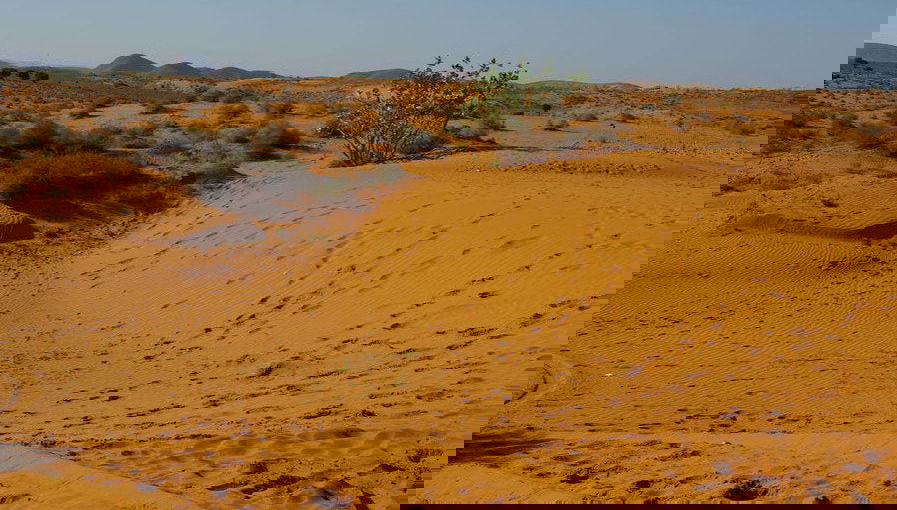 Desert Full-Day Trip - Photo 1