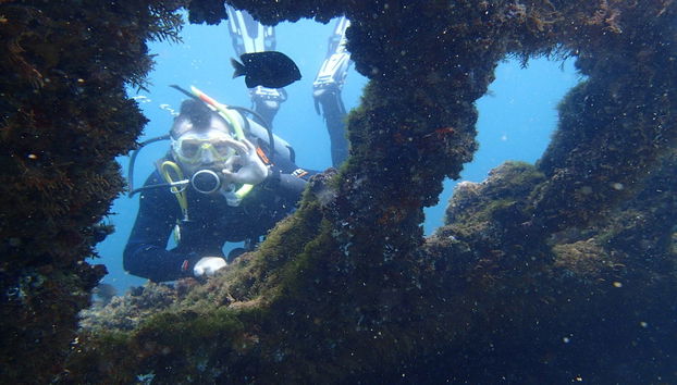 Buceo en la bahía de Todos los Santos - Foto 3