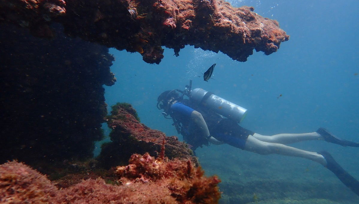 Buceo en la bahía de Todos los Santos - Foto 1