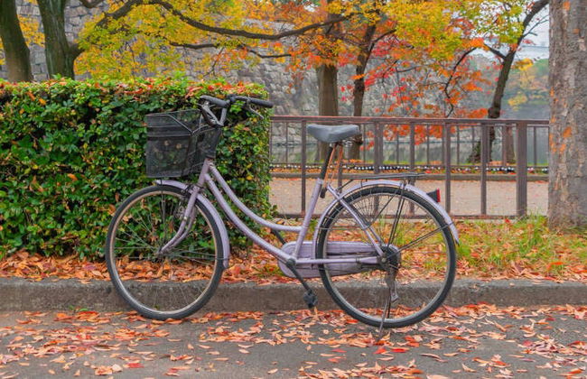 Tour en bicicleta por Osaka - Foto 2