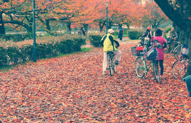 Tour di Osaka in bici - Foto 6