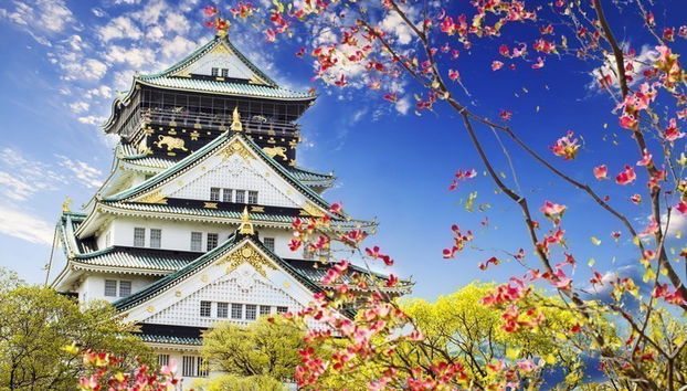 Tour di Osaka in bici - Foto 2