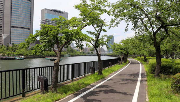 Tour di Osaka in bici - Foto 4