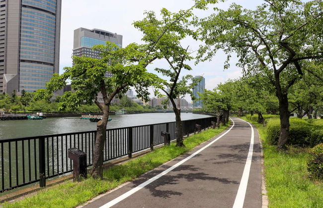 Tour di Osaka in bici - Foto 4
