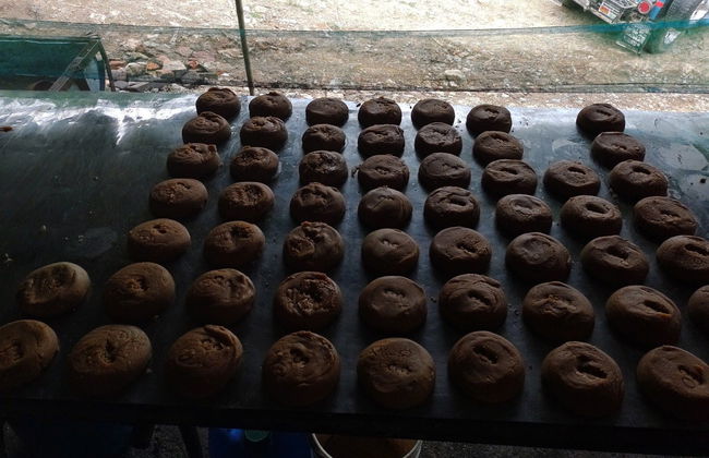 Tour de la panela - Foto 4