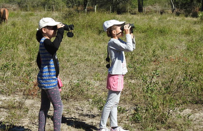 Avistamiento de aves en la estancia San Rafael - Foto 4