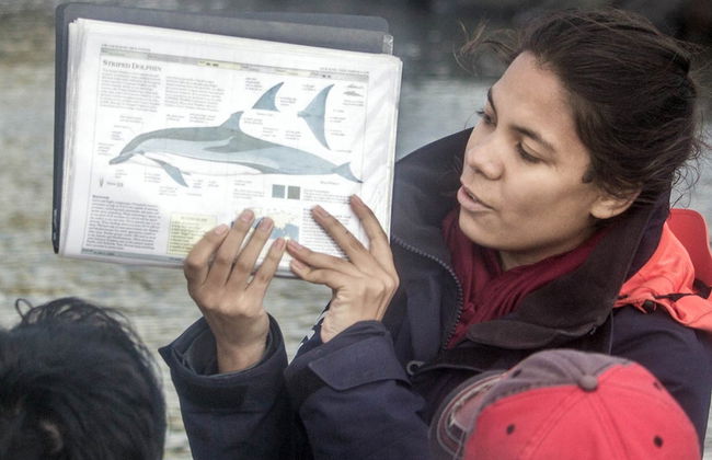 Avvistamento di cetacei + Isolotto di Vila Franca - Foto 2