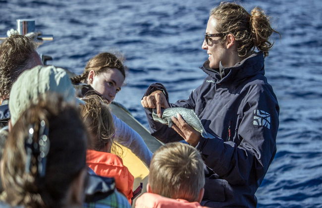Avvistamento di cetacei + Isolotto di Vila Franca - Foto 7