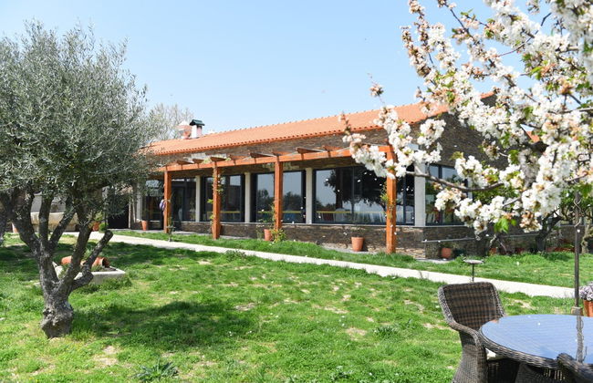 Visita a la bodega Quinta da Avessada - Photo 3