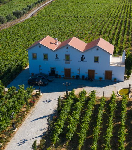 Foto de Excursión a la bodega Quinta da Avessada