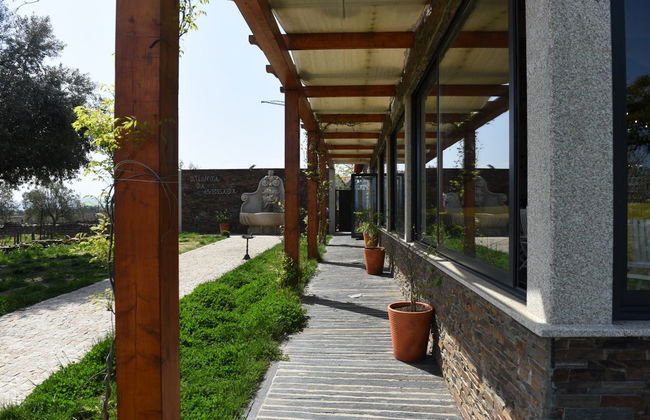 Visita a la bodega Quinta da Avessada - Photo 6