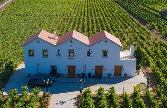 Visita a la bodega Quinta da Avessada - Photo 7