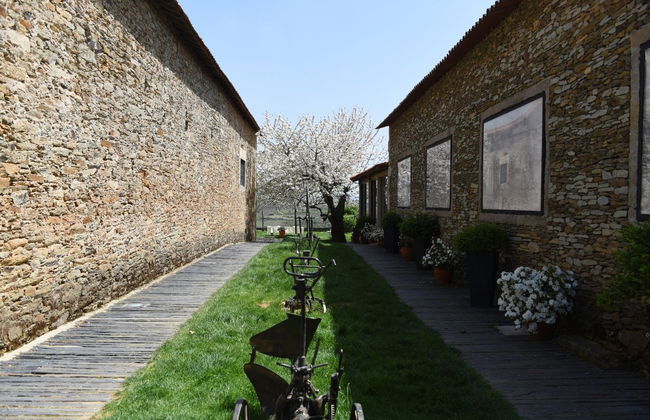 Visita a la bodega Quinta da Avessada - Photo 5