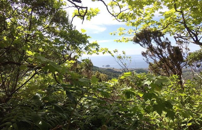 Senderismo por Lagoa do Fogo - Foto 3
