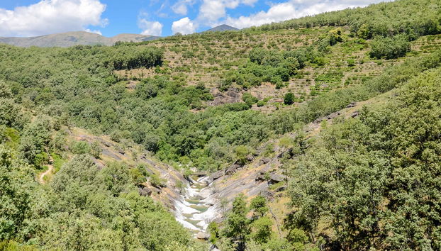 Tour en 4x4 por el Valle del Jerte + Recogida de cerezas - Photo 4