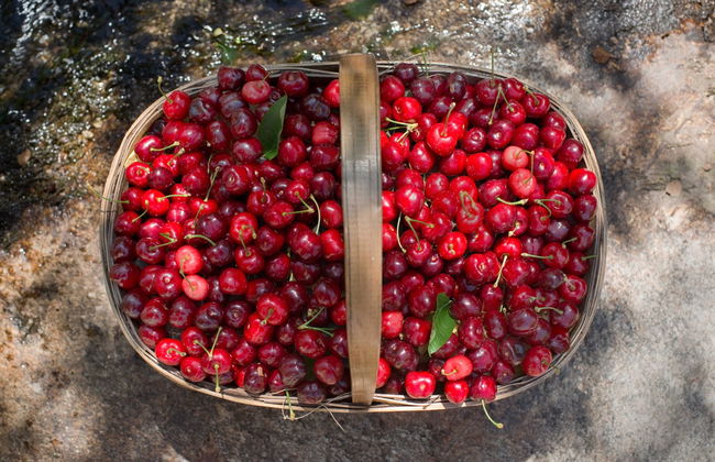 Tour en 4x4 por el Valle del Jerte + Recogida de cerezas - Photo 1