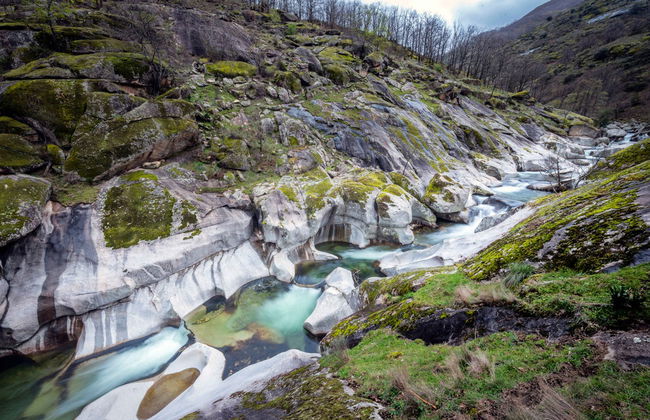 Tour en 4x4 por el Valle del Jerte + Recogida de cerezas - Photo 3