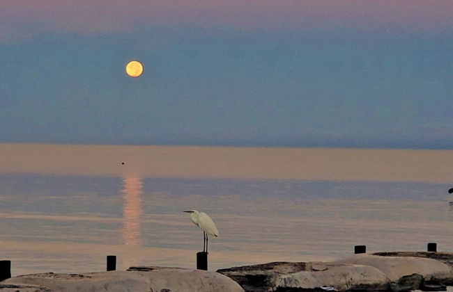 Cérémonie maya de la Pleine Lune - Photo 5