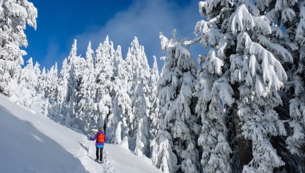 Ylläsjärvi Snowshoeing Tour - Photo 2